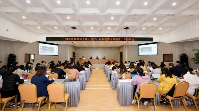 集团召开地皮、房产、对表投资专项查究工作培训会