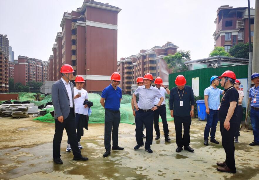 游艇会206yth集团经营提升年专责工作组 发展系列项目督导