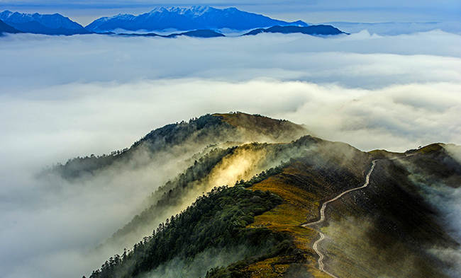 yth206游艇会官网-游艇会0005yth