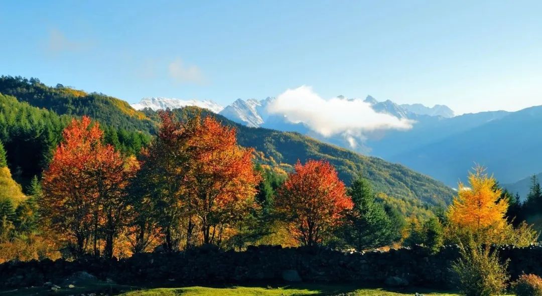 8ab293c5-5a3e-4698-9258-f108d936121f